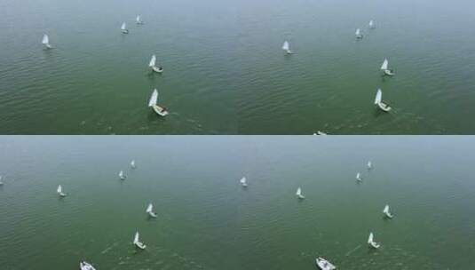 航拍海面航行小帆船比赛高清在线视频素材下载