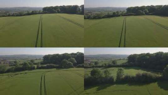 无人机航拍绿色的麦田农业发展高清在线视频素材下载