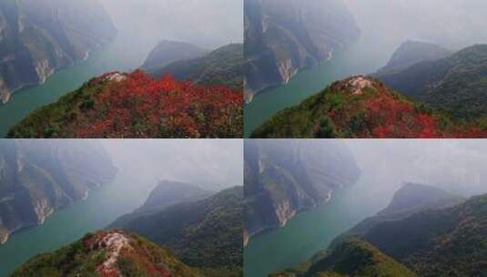 重庆巫山三峡红叶美景高清在线视频素材下载