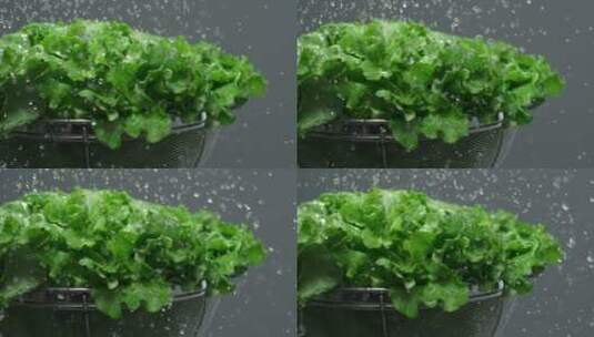 冲洗生菜的慢动作特写高清在线视频素材下载