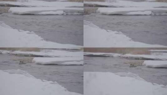 冰雪河岸湍急流水平移全景4k100帧灰片高清在线视频素材下载
