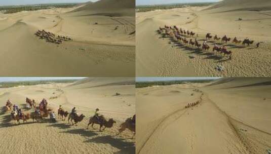 沙漠旅行骆驼商队高清在线视频素材下载