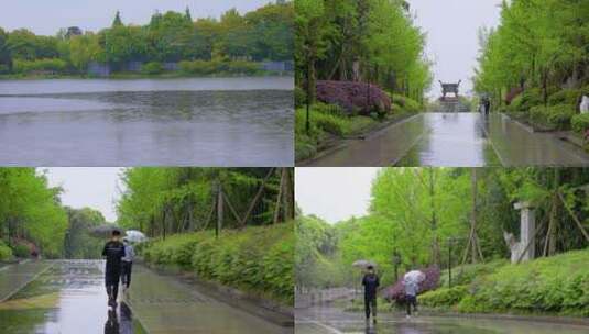 雨天游打伞公园高清在线视频素材下载