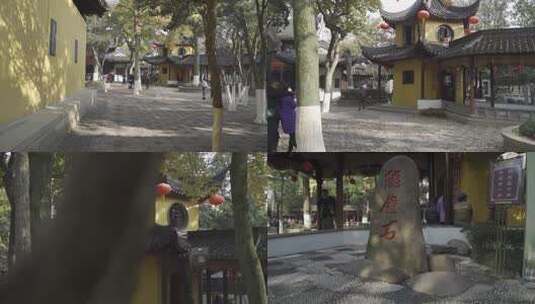 苏州园林 古镇 中式庭院  古街 江南水乡高清在线视频素材下载