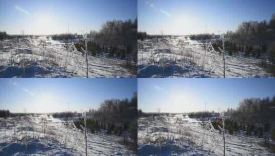 冬天雪地逆光下的挂冰霜植物高清在线视频素材下载
