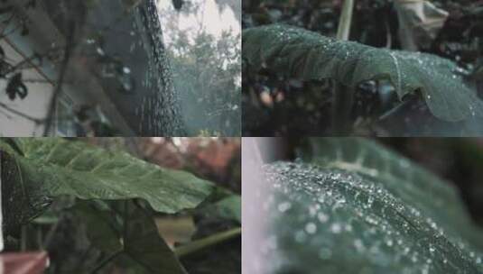 雨景高清在线视频素材下载