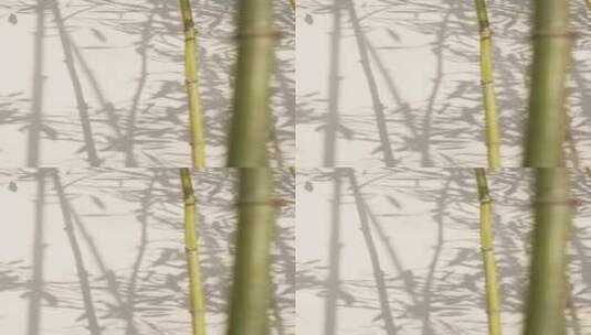 竹子和影子传统中国山水画意境高清在线视频素材下载