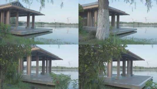 成都北湖公园美景高清在线视频素材下载