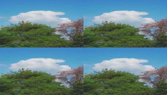 蓝天白云树天空高清在线视频素材下载