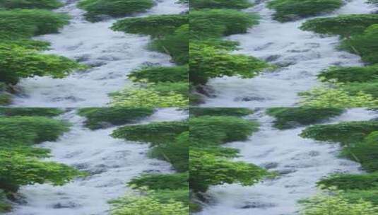 大自然丛林流水瀑布高清在线视频素材下载