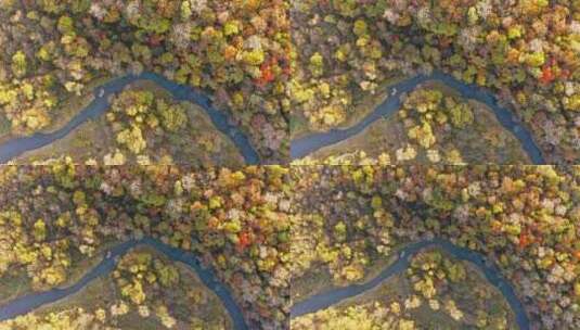 航拍秋季森林与河流俯拍抬升高清在线视频素材下载