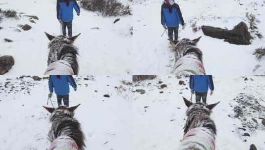 冬天在冰天雪地里骑马的第一人称视角高清在线视频素材下载