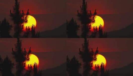 日落西山太阳下山夕阳松树剪影高清在线视频素材下载