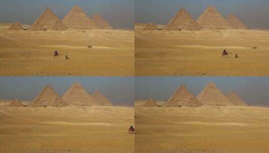 骆驼经过金字塔高清在线视频素材下载