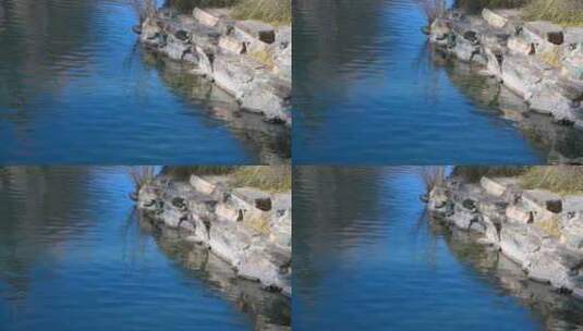 湖边石头与蓝色水面高清在线视频素材下载