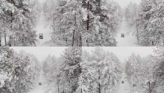 特写雾凇过后的森林大学覆盖白雪高清在线视频素材下载