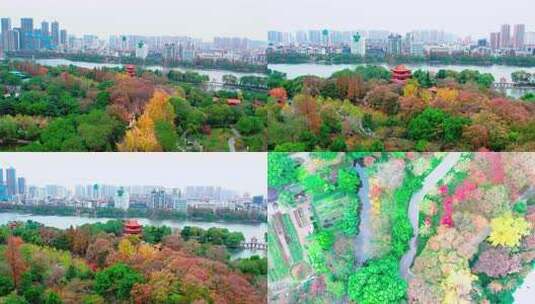 荆州中山公园秋景，中山公园卷雪楼秋景素材高清在线视频素材下载