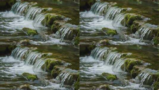 四川青城山溪流夏天清新自然视频高清在线视频素材下载