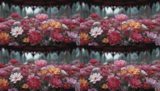 繁花盛开的庭院美景令人心旷神怡高清在线视频素材下载