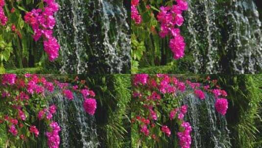 公园景色三角梅瀑布高清在线视频素材下载