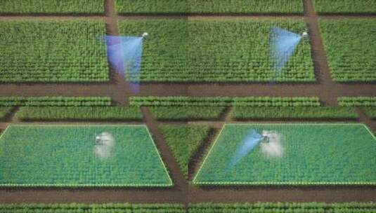 智能化农业用地和未来的农业技术高清在线视频素材下载