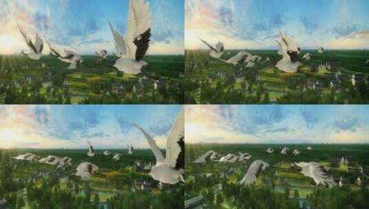 三维丹顶鹤迁徙动画高清在线视频素材下载