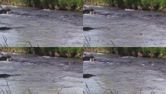 流动的河水高清在线视频素材下载
