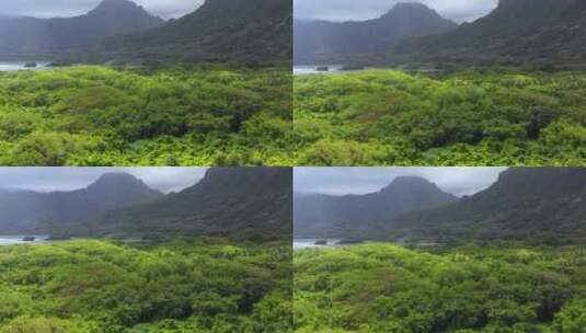 山林天际线景观航拍高清在线视频素材下载