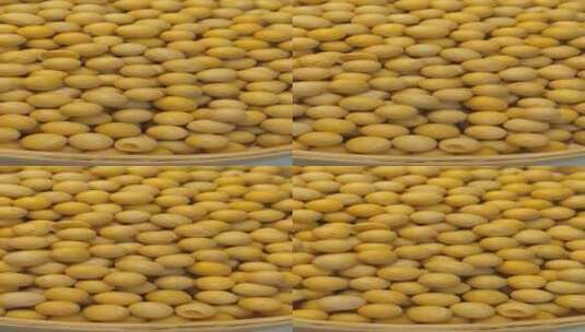 4K黄豆食品健康有机农产品高清在线视频素材下载