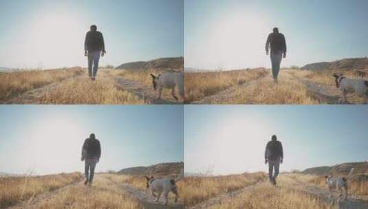 男人和宠物狗走在田野里高清在线视频素材下载
