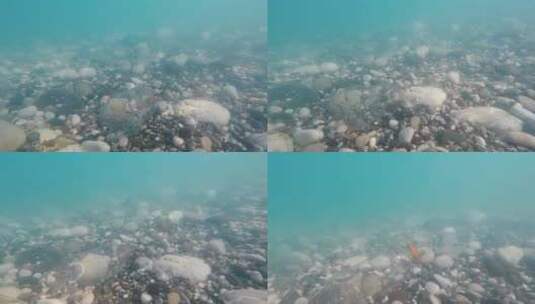 一个空塑料瓶漂浮在海水中高清在线视频素材下载