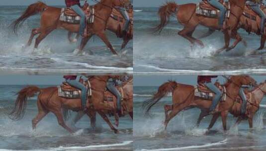 骑着马在海边奔驰高清在线视频素材下载