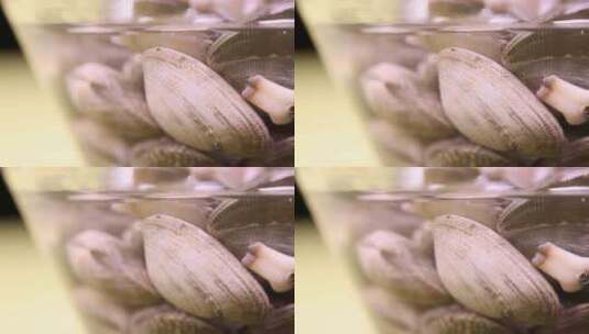 蛤蜊花甲文蛤蚬子小海鲜高清在线视频素材下载
