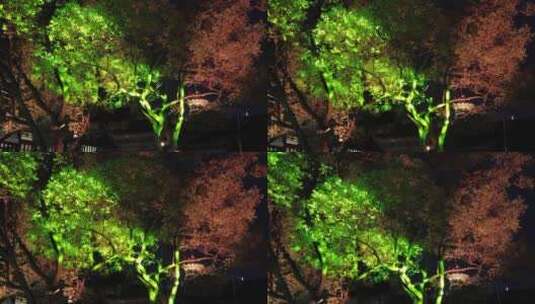 上海豫园城隍庙灯会空镜实拍高清在线视频素材下载