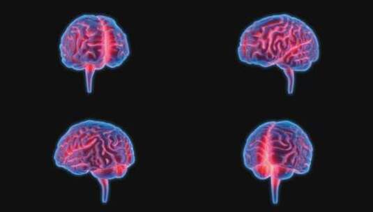 医学 大脑 脑科学 三维 脑ct1 模型高清在线视频素材下载