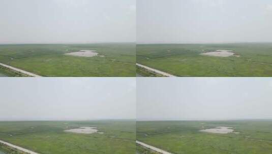 宁波慈溪杭州湾湿地草坪4K航拍高清在线视频素材下载