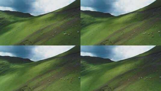 新疆草原上牛羊遍野漫步吃草高清在线视频素材下载