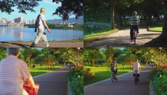 清晨公园老人漫步行走空镜单镜高清在线视频素材下载