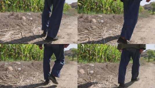 田间地头行走的农民背影高清在线视频素材下载
