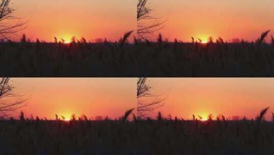 夕阳落日地平线自然风光高清在线视频素材下载