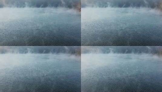 雾气腾腾的湖面上飞过几只白鹭 中国风高清在线视频素材下载