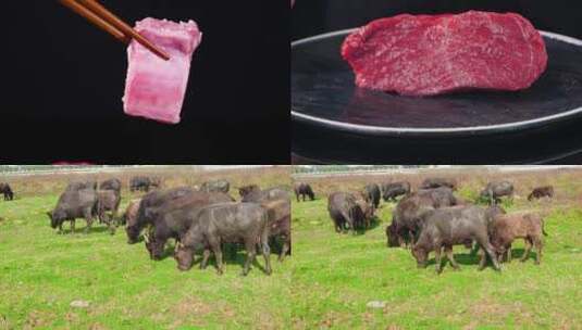 新鲜牛肉高清在线视频素材下载