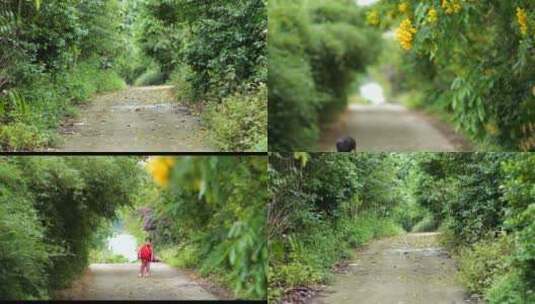 小孩在林荫小道散步高清在线视频素材下载