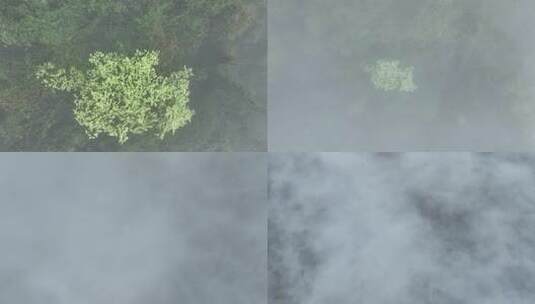 烟雨云雾缥缈的大山高清在线视频素材下载