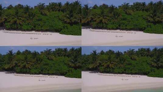 树丛边的海滩风光高清在线视频素材下载