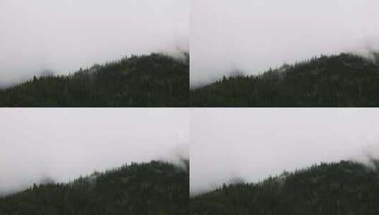 云雾中的森林高清在线视频素材下载
