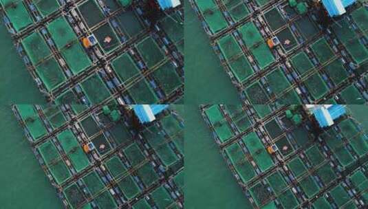 渔场的空中自下而上视图，在海上，有许多繁殖网箱。越南高清在线视频素材下载