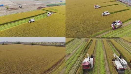 丰收收割机 现代农业高清在线视频素材下载