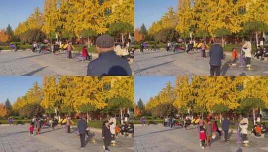 午后小区广场银杏游玩锻炼的人高清在线视频素材下载