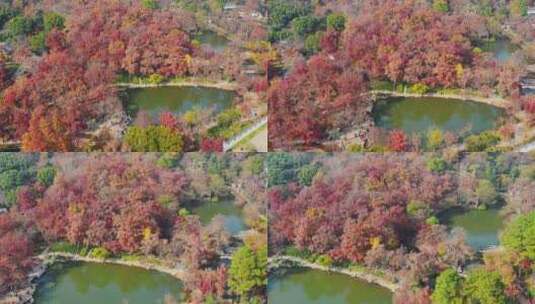 苏州天平山风景区航拍14高清在线视频素材下载